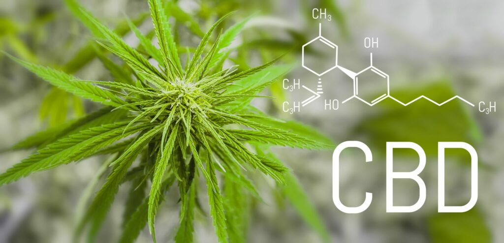 How Nano CBD Matches Up To the Hype